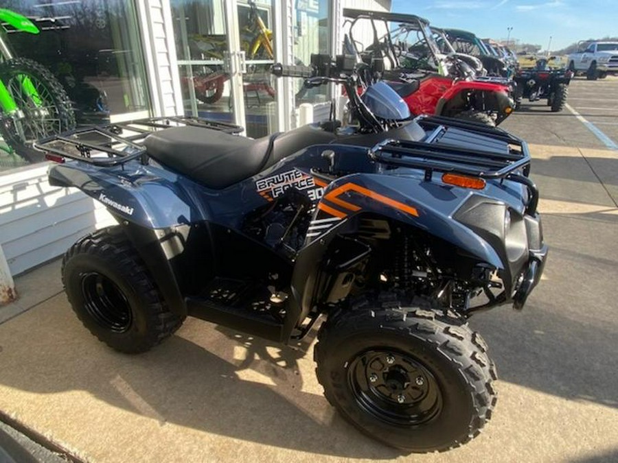 2025 Kawasaki Brute Force® 300