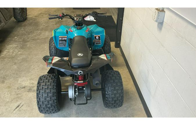 2026 RENEGADE 110 - Can-Am