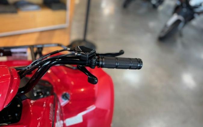 2025 Yamaha Grizzly 110