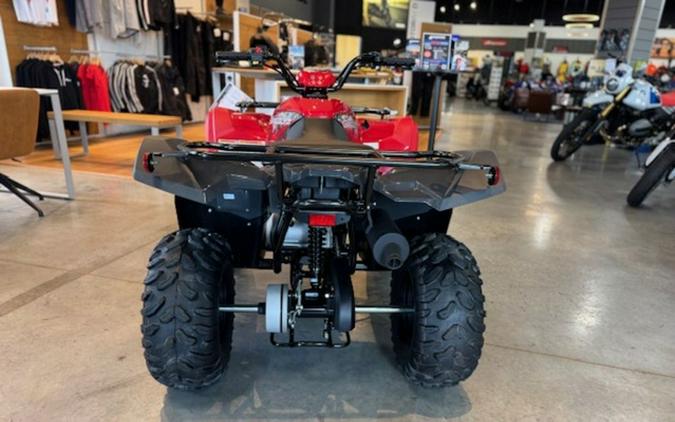 2025 Yamaha Grizzly 110