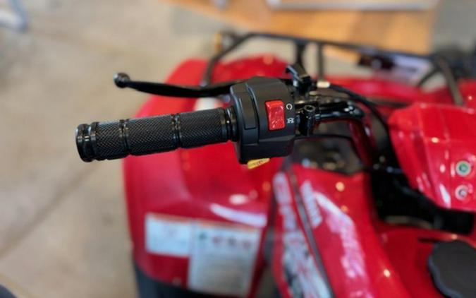 2025 Yamaha Grizzly 110