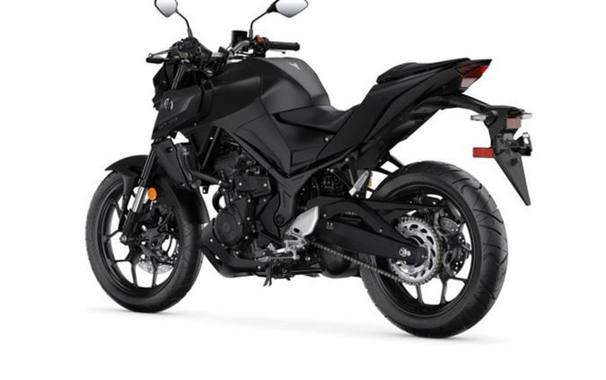 2024 Yamaha MT 03