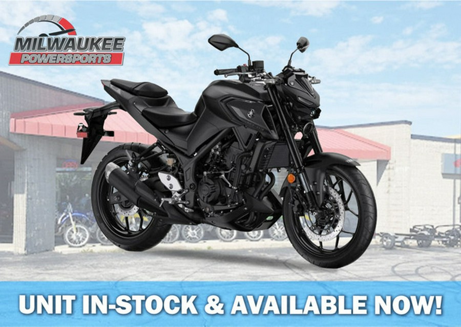 2024 Yamaha MT 03