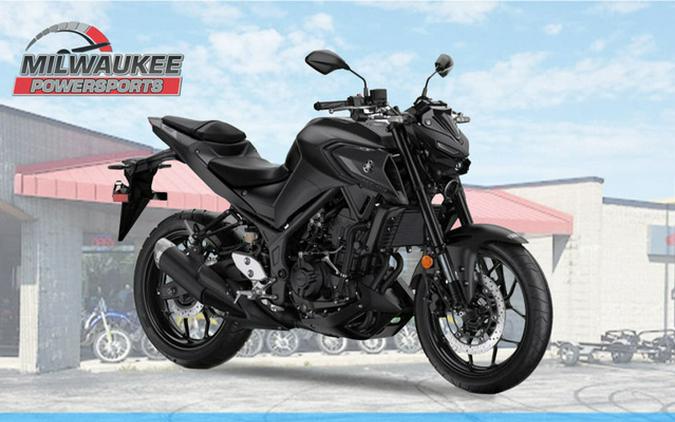 2024 Yamaha MT 03