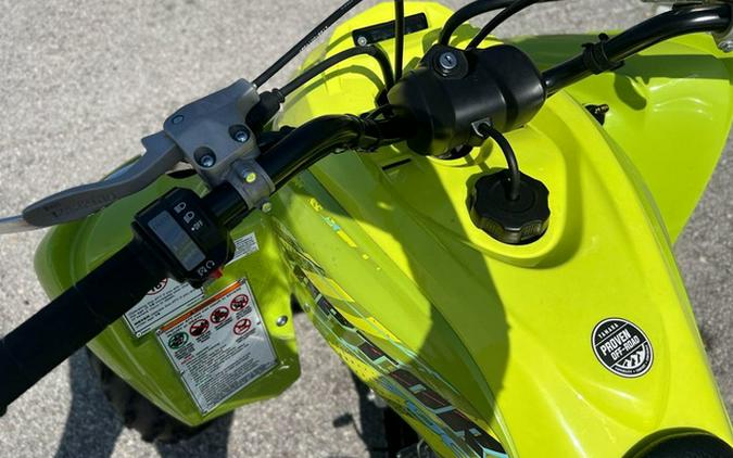 2026 Yamaha Raptor 700R SE 700