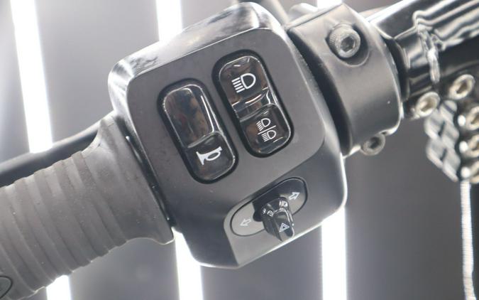 2020 Indian Springfield® Dark Horse®