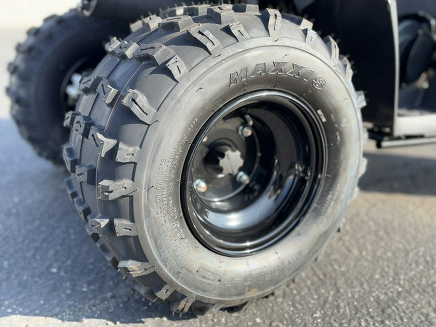 2025 Kawasaki KFX 90