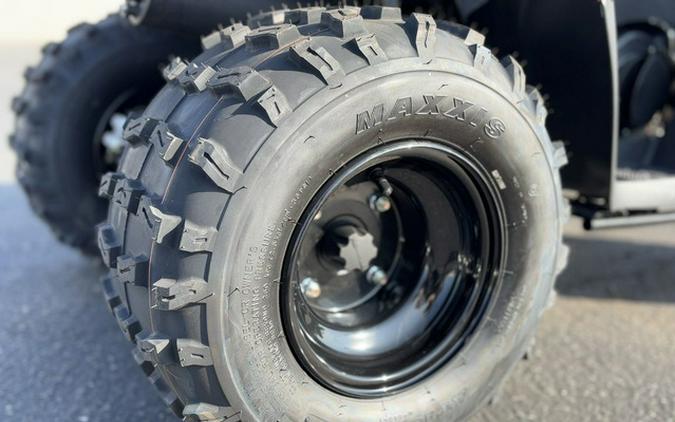 2025 Kawasaki KFX 90