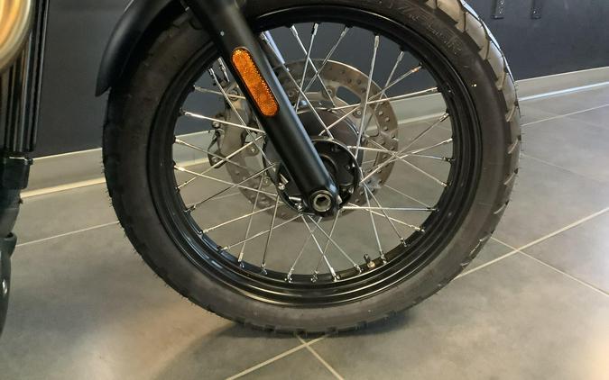 New 2025 Triumph SCRAMBLER 900