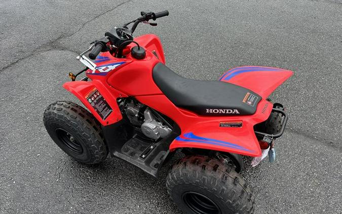 2024 Honda® TRX90X