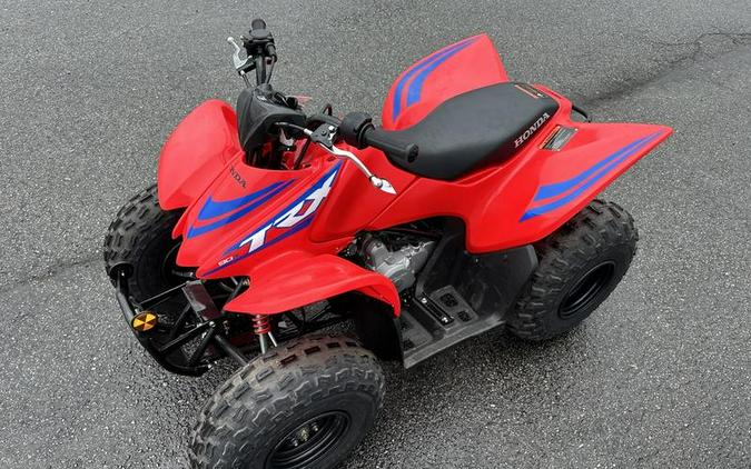 2024 Honda® TRX90X