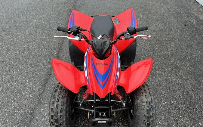 2024 Honda® TRX90X