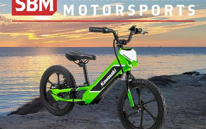 2023 Kawasaki Elektrode First Look [8 Fast Facts + 33 Electrifying Photos]