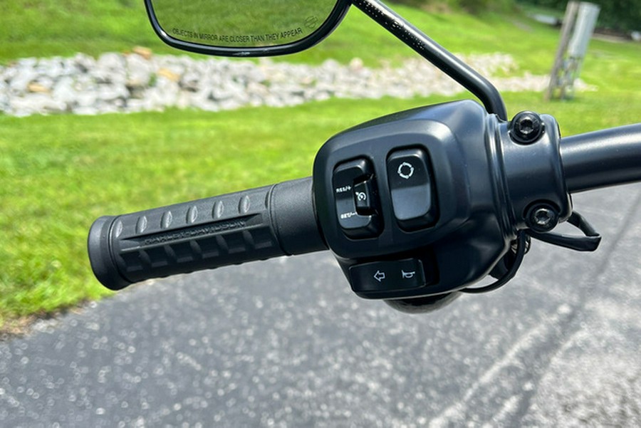 2025 Harley-Davidson FXLRS - Low Rider S