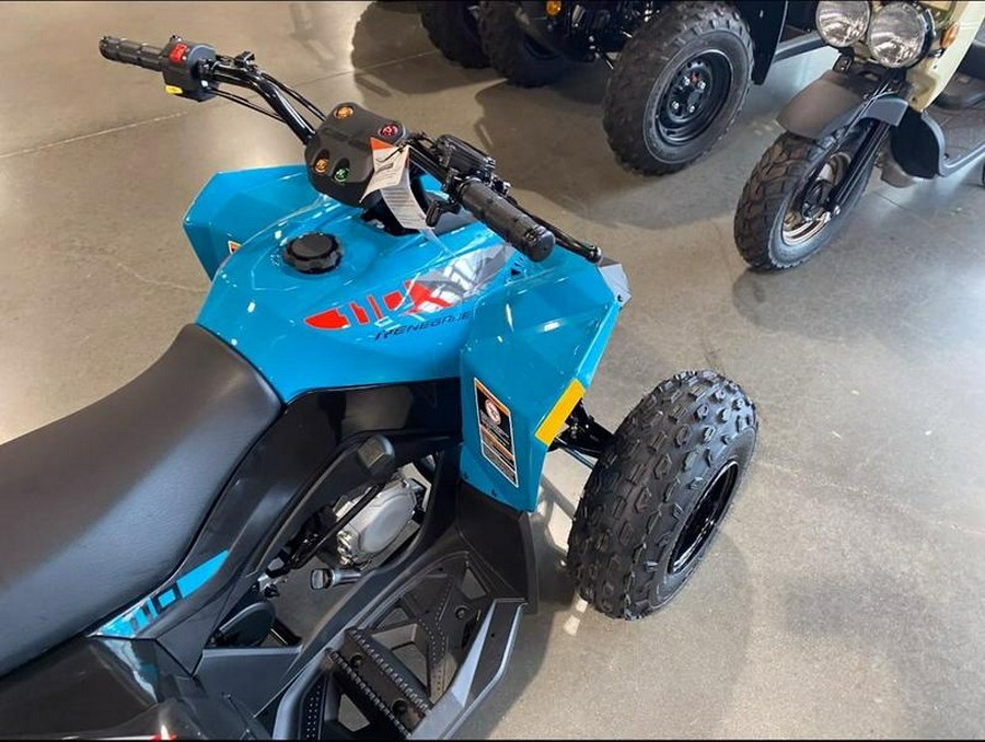 2025 Can-Am® Renegade 110 EFI