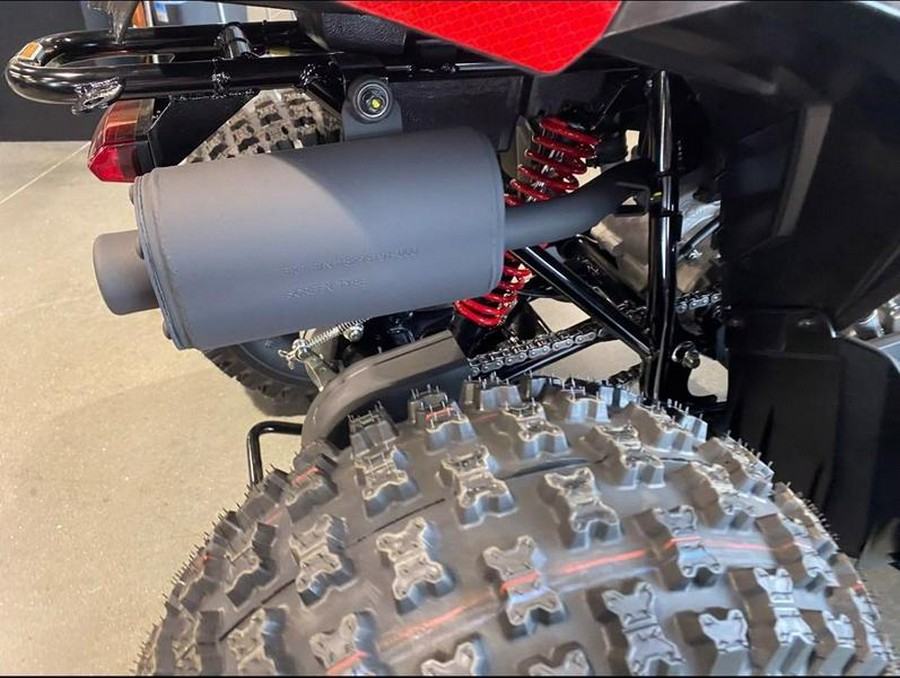 2025 Can-Am® Renegade 110 EFI
