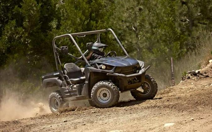 2010 Kawasaki Teryx® 750 FI 4x4
