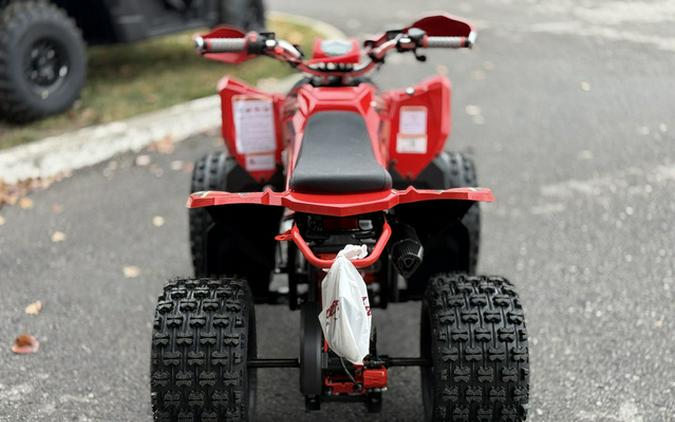 2026 Denago Powersports Trailhawk 10FI