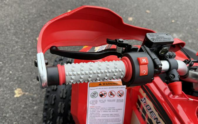 2026 Denago Powersports Trailhawk 10FI