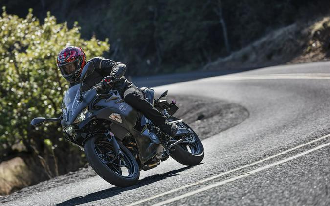 2027 Kawasaki NINJA® 500 ABS