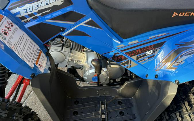 2026 Denago Powersports Trailhawk 10FI