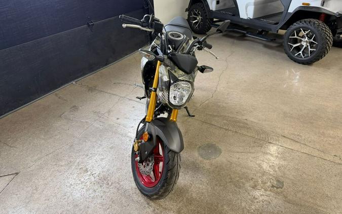 2025 Kawasaki Z125 PRO Base