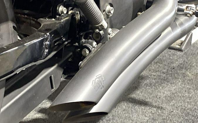 2019 Harley-Davidson Sportster XL 1200NS - Iron 1200
