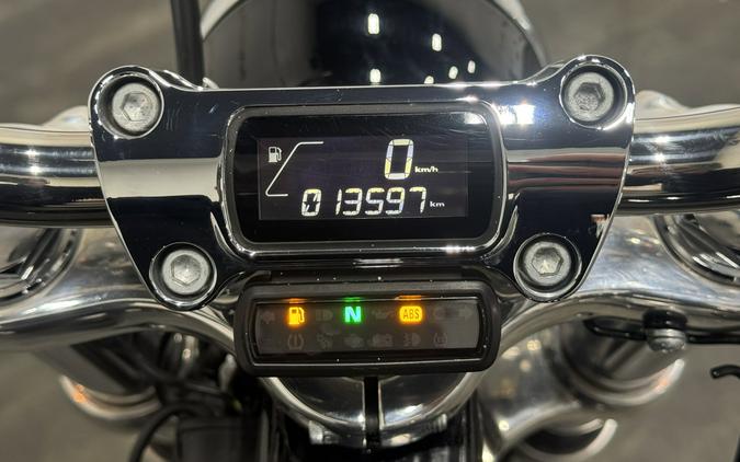 2024 HARLEY DAVIDSON SOFTAIL STANDARD