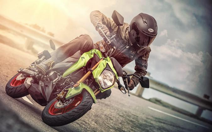 2027 Kawasaki Z125 PRO
