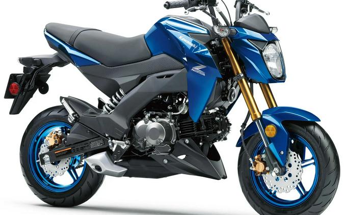2027 Kawasaki Z125 PRO