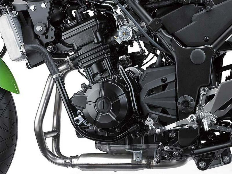 2015 Kawasaki Ninja® 300