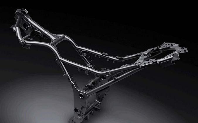 2015 Kawasaki Ninja® 300