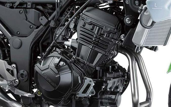 2015 Kawasaki Ninja® 300