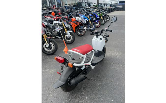 2018 Ruckus Base - Honda