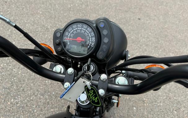 2026 Kawasaki W175 LTD ABS