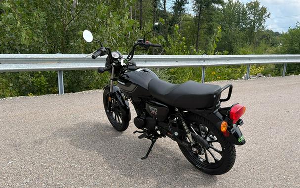 2026 Kawasaki W175 LTD ABS