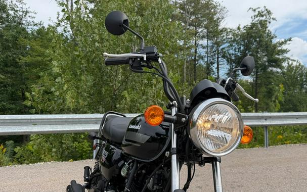 2026 Kawasaki W175 LTD ABS