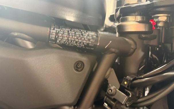 2026 Kawasaki Eliminator ABS