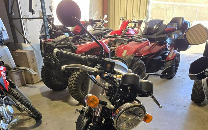 2024 Royal Enfield Continental GT 650