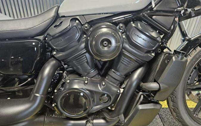 2025 Harley-Davidson Nightster Billiard Gray