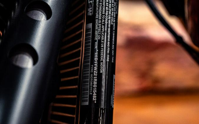 2024 Harley-Davidson Low Rider S