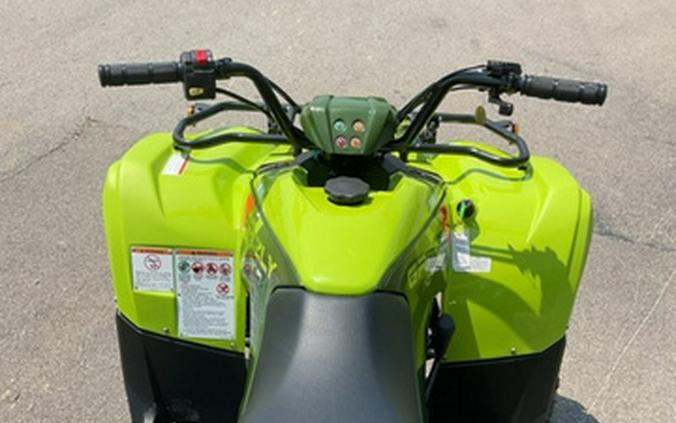 2026 Yamaha Grizzly 110