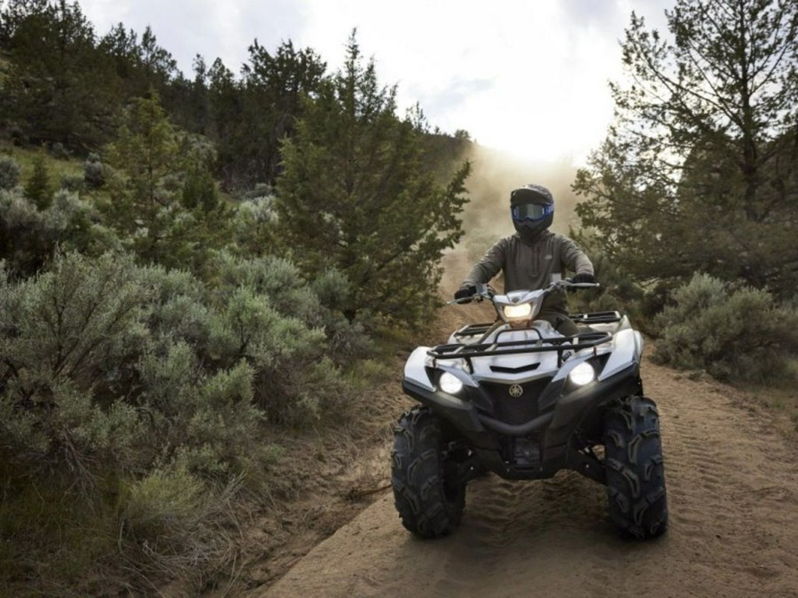 2024 Yamaha Grizzly EPS SE