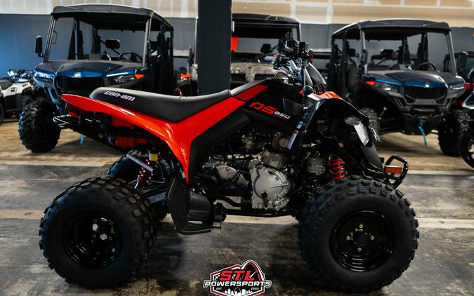 2026 Can-Am DS 250