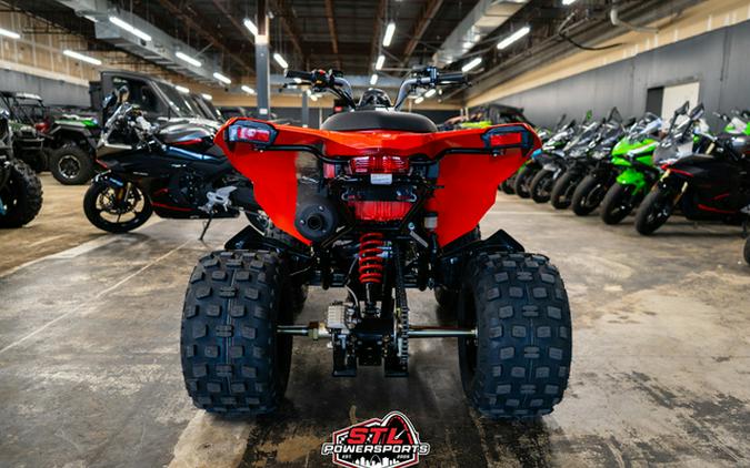 2026 Can-AM DS 250