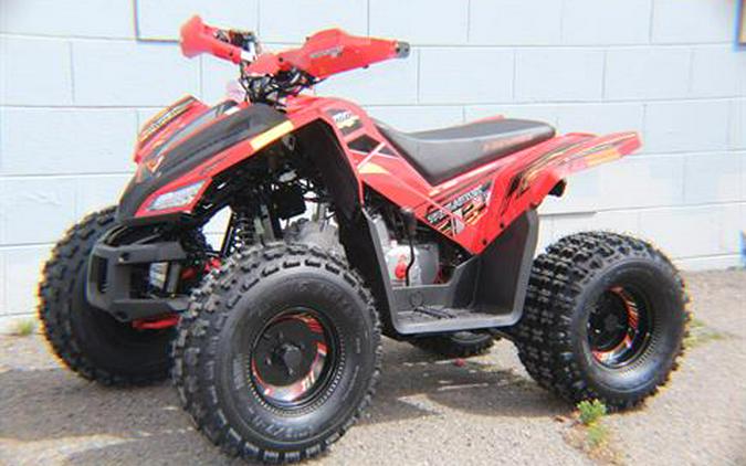 2026 Denago Powersports Trailhawk 10FI