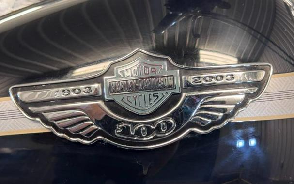 2003 Harley-Davidson SPRINGER SOFTAIL (EFI)