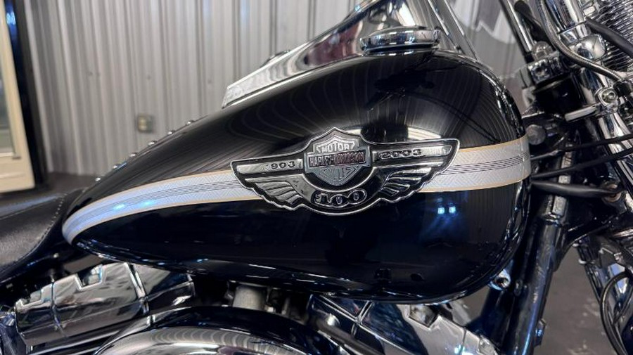 2003 Harley-Davidson SPRINGER SOFTAIL (EFI)