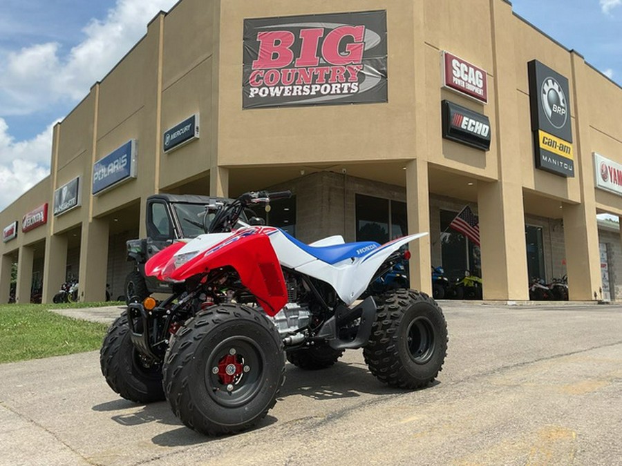 2026 Honda TRX 250X