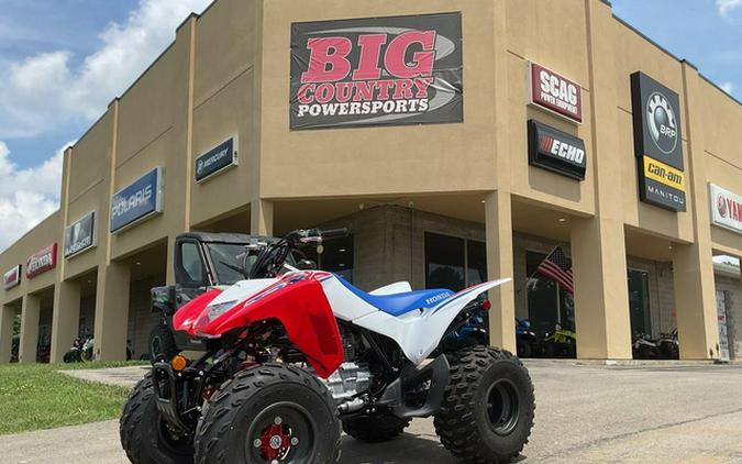 2026 Honda TRX 250X